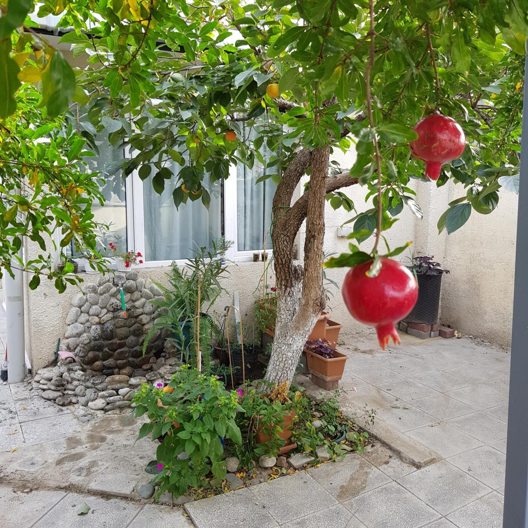 Домик У Реки Куры Tbilisi Exterior foto